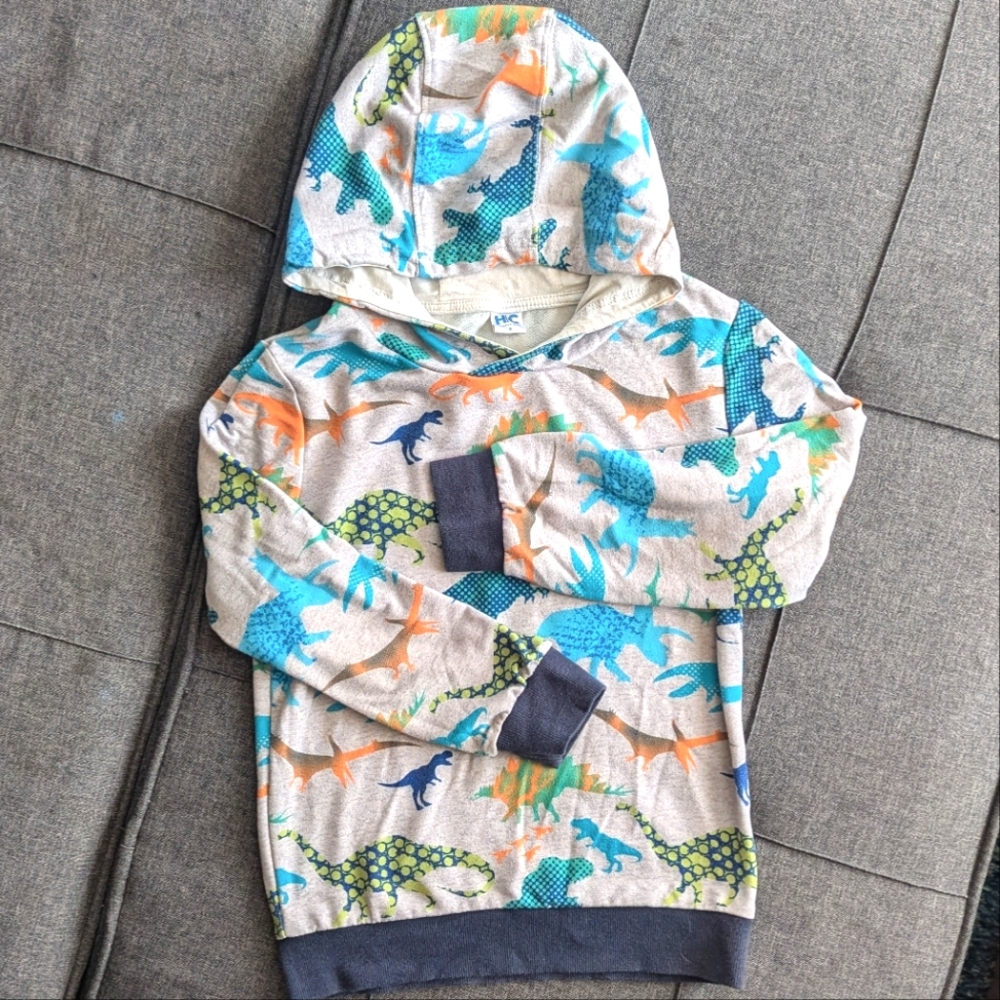 Lightweight gray hoodie with colorful dinosaurs